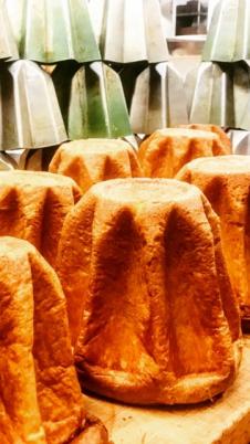 Pandoro Image #351